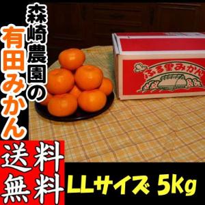 有田みかん 2Lサイズ(大玉)  5kg 森崎農園 ふる里みかん ありだみかん 和歌山 ギフト お歳暮 贈答用 家庭用 産地直送