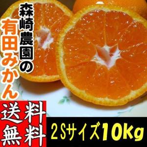 【不定期販売】有田みかん 小玉(2S)サイズ 10kg 森崎農園 ふる里みかん 産地直送 和歌山産 送料無料(北海道・沖縄県を除く)