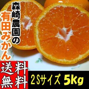 【不定期販売】有田みかん 小玉(2S)サイズ 5kg 森崎農園 ふる里みかん ありだみかん 和歌山 ギフト お歳暮 贈答用 家庭用 産地直送