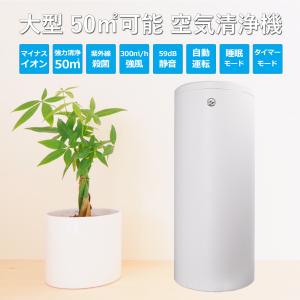 空気清浄機 HEPA PM2.5 マイナスイオン イオン殺菌機能 50m可能の商品画像