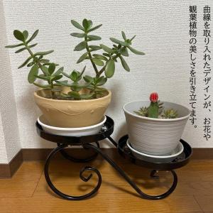プランタースタンド 室内 鉢置き台 フラワース...の詳細画像2
