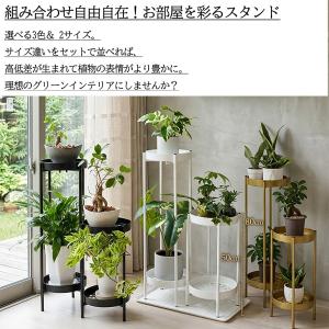 フラワースタンド 室内 おしゃれ ガーデンラッ...の詳細画像5