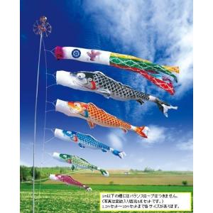 こいのぼり ベランダ用 2019年新作 鯉幟 ピカピカ太郎鯉 セット