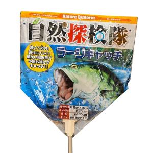 自然探検隊 ラージキャッチ タモ網 玉網 ラン...の詳細画像2