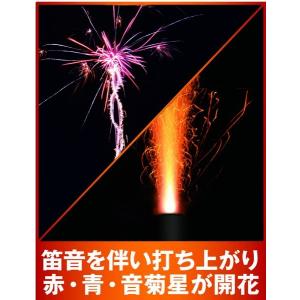 激笛(打上花火)の詳細画像1