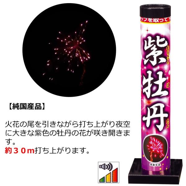 打上花火 単品花火 紫牡丹（むらさきぼたん）