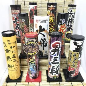 岩崎電気 アイ セルフバラスト水銀ランプ BHRF100/110V160WH
