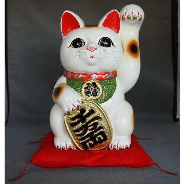 8号招き猫小判白手長(座布団付)