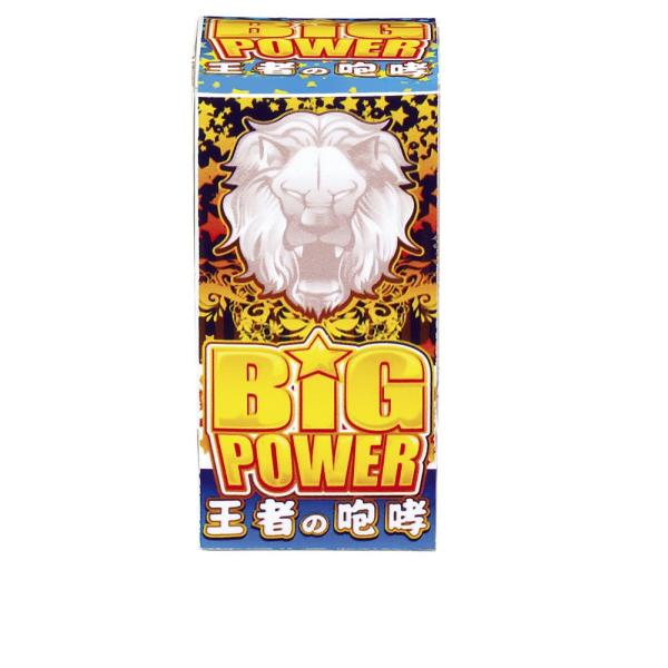 ビッグパワー【噴出花火】