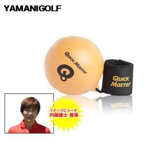 ヤマニ ゴルフ練習器具 パーフェクトローテーションライト QMMGNT62