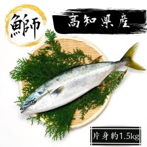 【送料無料】 ブリ 片身 2節 約1.5kg ブリ 刺身 鰤 刺身 ぶり 刺身 ブリしゃぶしゃぶ ブリ 照り焼き ブリ カマ塩焼き ブリあら炊き ブリ あら汁 ブリ 漬け丼｜morita-yakkyoku0731