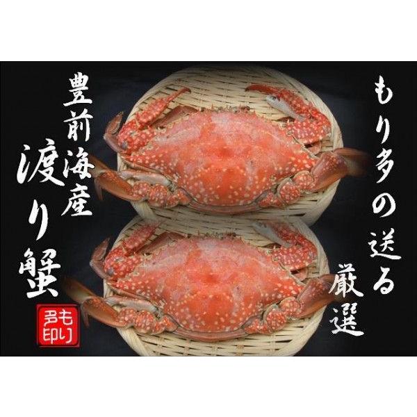 豊前海産 渡り蟹(ワタリガニ)メス塩ゆで冷凍2尾（活き状態1尾400g〜499ｇ）