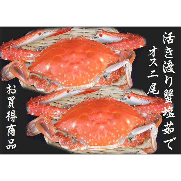 豊前海産渡り蟹(ワタリガニ)塩茹で　冷凍オス2尾（活き状態1尾400ｇ〜499ｇ）