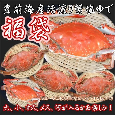 豊前海産渡り蟹(ワタリガニ)塩茹でアソートセット冷凍（活き状態約1kg〜1.2kg分）※3〜5匹程度