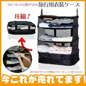 持ち運べる クローゼット圧縮バック衣類収納掛けるだけ 軽い簡単衣類整理アコーディオントラベルポーチ スーツケース吊り下げ式 クローゼット旅行