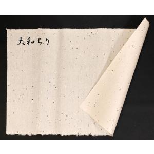 大和ちり 生成り 未晒 手漉和紙 No.860...の詳細画像2