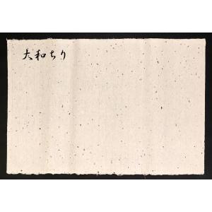 大和ちり 生成り 未晒 手漉和紙 No.860...の詳細画像3