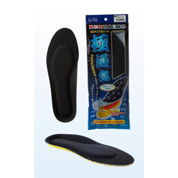 is-fit 極通気インソール 男性用