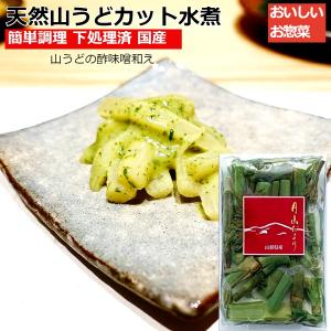 秋田県産ウド塩蔵★ウド塩蔵500g20袋 塩漬け（塩蔵）天然山菜 山ウド500g : 天然きのこ・山菜の奥会津旬彩館