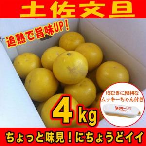 追熟 訳あり土佐文旦 4kg ご家庭用にサイズS...の商品画像