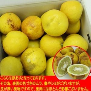 追熟 訳あり土佐文旦 4kg ご家庭用にサイズ...の詳細画像1