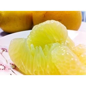 追熟 訳あり土佐文旦 4kg ご家庭用にサイズ...の詳細画像2