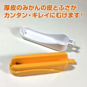 追熟 訳あり土佐文旦 4kg ご家庭用にサイズ...の詳細画像4