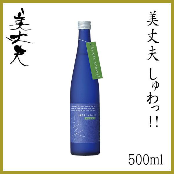 濱川商店　美丈夫 しゅわっ!!　500ml   化粧箱無し お酒 お歳暮 お中元 御祝い プレゼント...