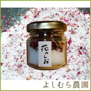 【食べるお花・エディブルフラワー よしむら農園】花のしお 2...