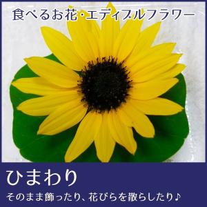 【食べるお花・エディブルフラワー よしむら農園】ひまわり 食...