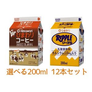 ひまわりコーヒー　リープル200ｍｌ 選べる　12本セット／ひまわり乳業 冷蔵便  紙パック ストローレス