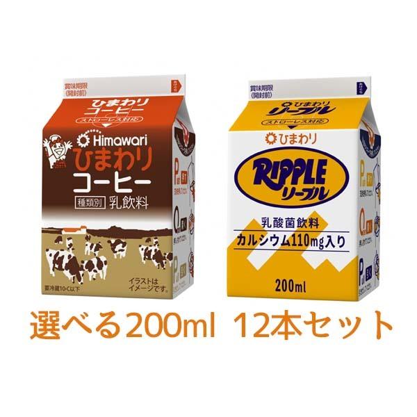 ひまわりコーヒー　リープル200ｍｌ 選べる　12本セット／ひまわり乳業 冷蔵便  紙パック ストロ...