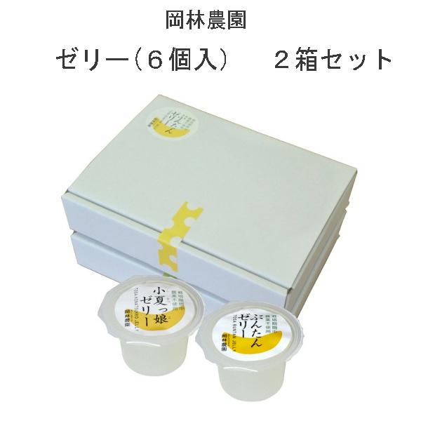 岡林農園 ゼリー（文旦、小夏、柚子）６個入 ２箱セット 高知 ギフト プレゼント 母の日 贈答 柑橘