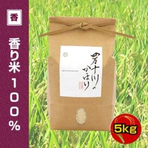 産年経過 特別価格【令和4年度産】香り米(神の香〜カミノカ）100%　5kg　四万十川のかほり （品...