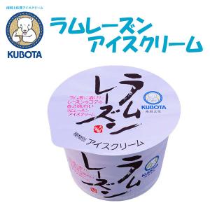 ラムレーズンアイスクリーム　12個入　久保田食品 サイズ4
