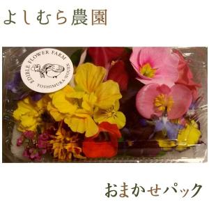 エディブルフラワー　おまかせパック　1パック　食べるお花 よしむら農園 食用花 料理 パーティー 高知｜moritokuzo