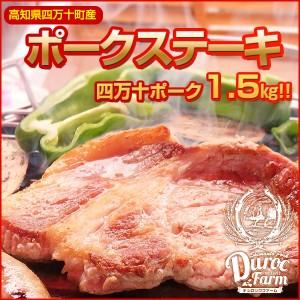 高知産四万十ポーク がっつりポークステーキセット