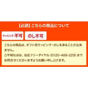 ユニット型コンクリート成型装置 SAIBARA-10の詳細画像4