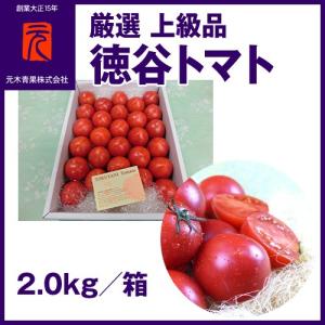 厳選 上級品 [A-017] （市場直送便）徳谷トマト　2.0kg｜moritokuzo