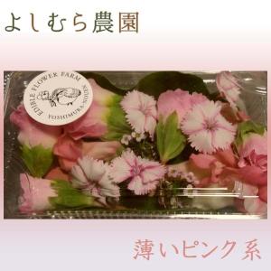 【食べるお花・エディブルフラワー よしむら農園】薄いピンク系...