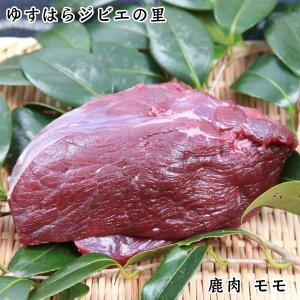 鹿　モモ　400ｇ（ブロック） ゆすはらジビエの里 冷凍便 高知県産 シカ ジビエカー GIBIER しか 鹿肉 国産｜森徳蔵.comヤフー店