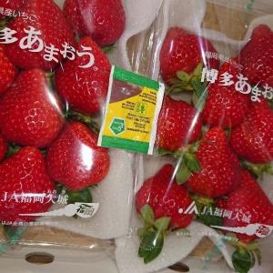 E-FRESH　小袋ミニ（2.5g）400個入