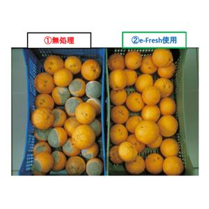 E-FRESH 小袋ミニ(2.5g)400個入の詳細画像1