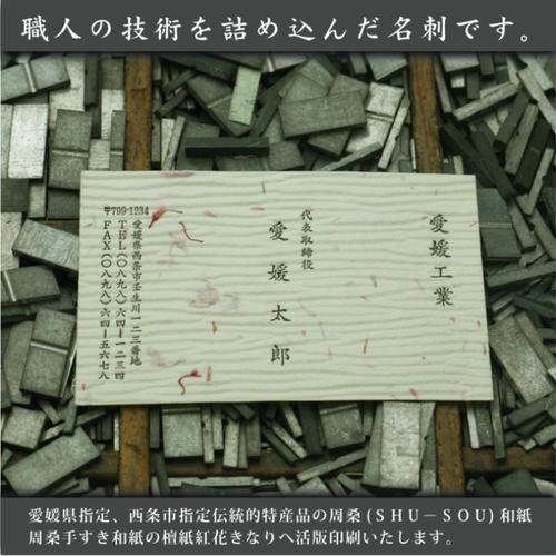 最高級 手すき和紙 ( 檀紙紅花きなり ) 活版名刺 片面1色 ( 活版印刷 ) 100枚