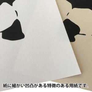 バンクシー BANKSY DESTROY PA...の詳細画像3