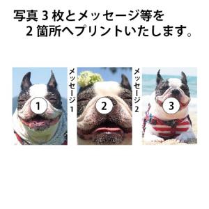シンプルフレーム 写真 3枚 メッセージ入り ...の詳細画像1