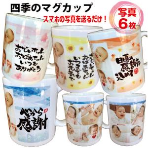 写真入 オリジナル 四季 マグカップ 敬老 メッセージ入母の日