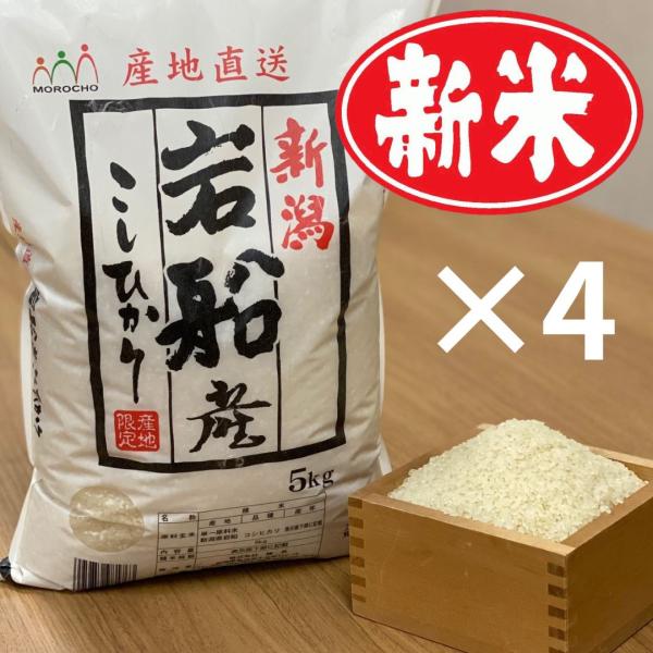 米 お米 20kg  コシヒカリ こしひかり 岩船産 5kg×4袋  本州送料無料 令和5年産