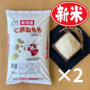 新米 もち米 餅 米 お米 10kg 5kg×2袋 新潟県産 こがねもち 本州送料無料 令和6年産