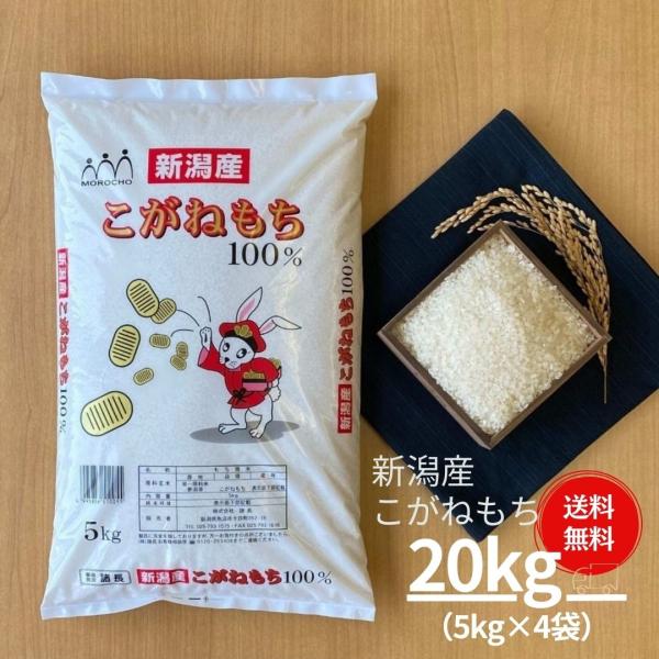 もち米 餅 米 お米 20kg 5kg×4袋 新潟県産 こがねもち 本州送料無料 令和5年産